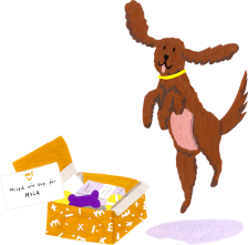dog