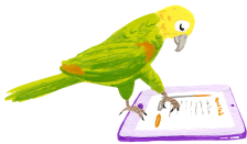 parrot
